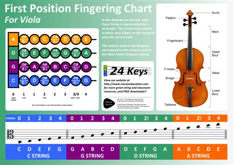 How to Read Viola Sheet Music: A Comprehensive Guide with Insightful Tips