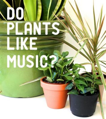 What Music Helps Plants Grow: A Multifaceted Exploration